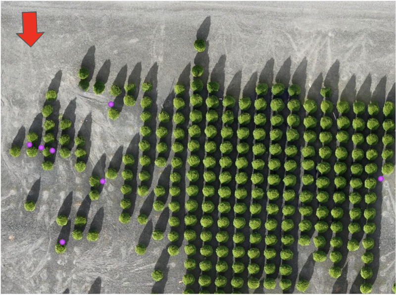 Screenshot 2023-12-08 at 2.08.25 PM.png