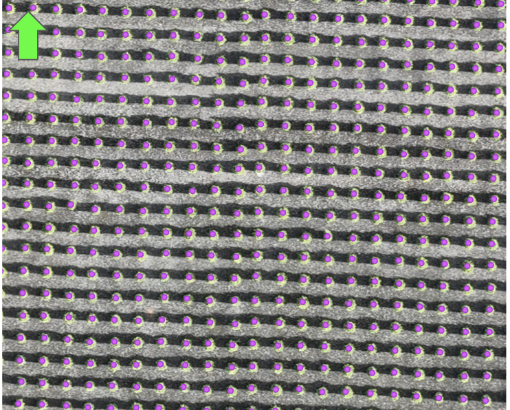 Screenshot 2023-12-08 at 2.00.19 PM.png