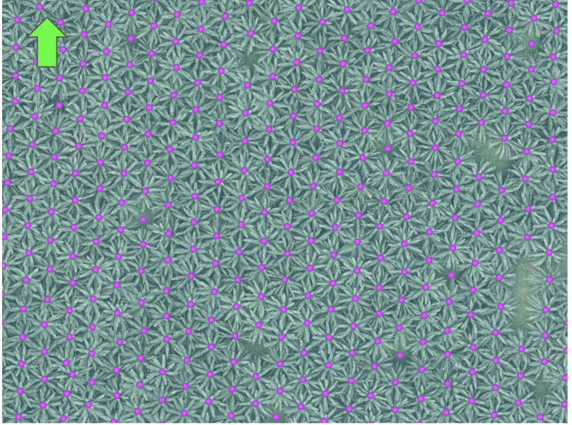 Screenshot 2023-12-08 at 2.08.19 PM.png