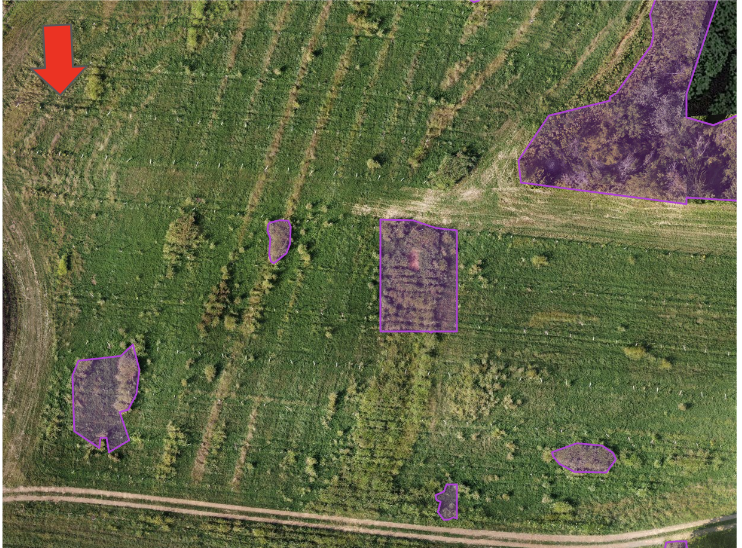 Screenshot 2023-12-08 at 2.03.21 PM.png